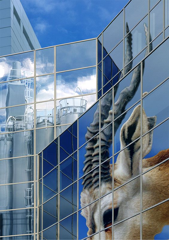 Gazelle & Industtrial reflrections for Mergers and aquisitions Compnay Gazelle